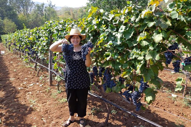 National Parks and Wine Tasting (Np Lovcen, NP Skadar Lake, Cetinje, Njegusi) - Exploring the Njegusi Village