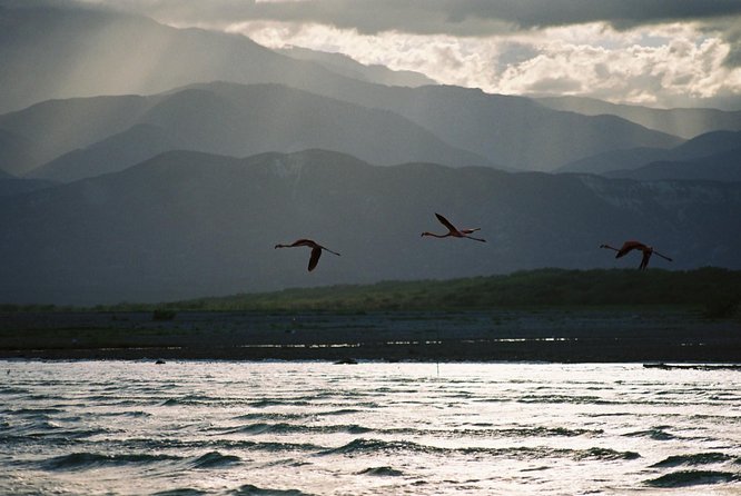 Nature Combo Oviedo Lagoon & Bahia De Las Aguilas - Reviews