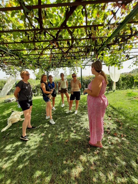 Nemea, Corinth: Bike & Wine Guided Day Tour From Athens - Experience and Activities