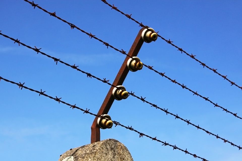 Neuengamme Concentration Camp Memorial: Guided Private Tour - Tour Highlights