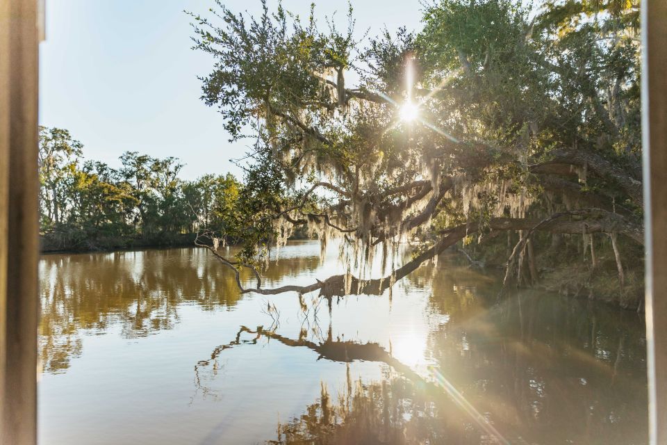 New Orleans: Guided Swamp Cruise by Tour Boat - Highlights of the Cruise