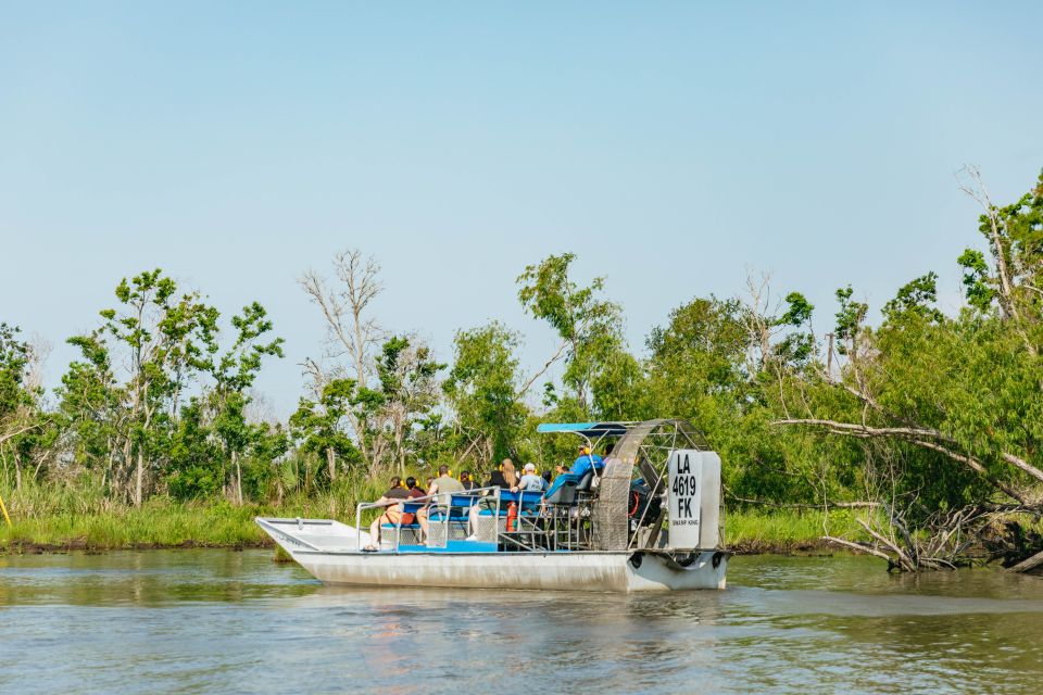 New Orleans: High Speed 9 Passenger Airboat Tour - Wildlife Encounters