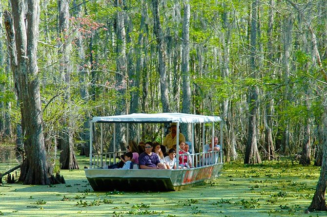 New Orleans Swamp and Bayou Boat Tour With Transportation - Wildlife and Natural Scenery