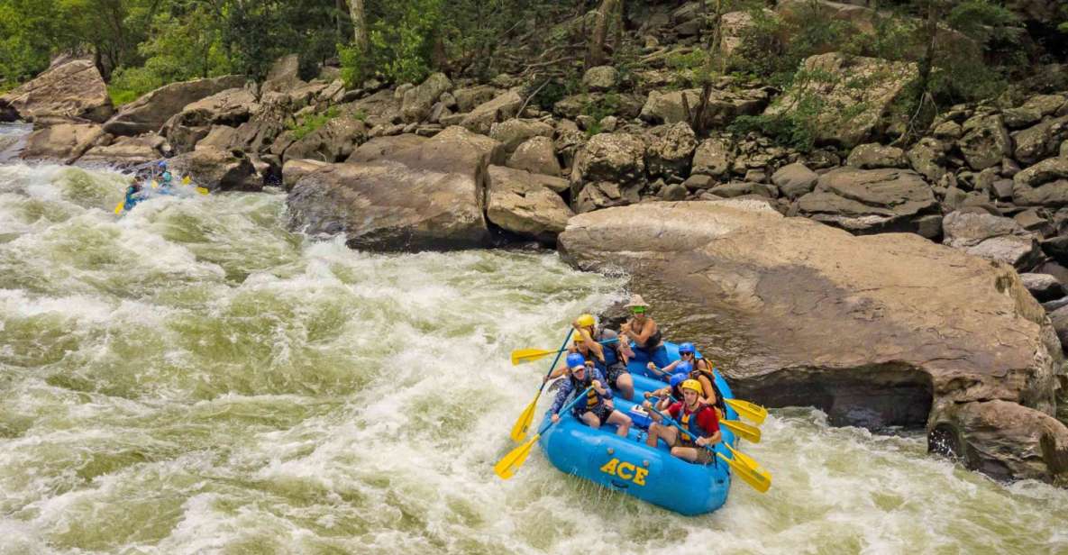 New River Gorge Whitewater Rafting - Lower New Full Day - Guided by Experienced Professionals