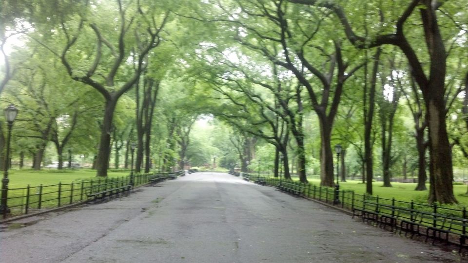 New York City: Central Park Walking Tour - Meeting Point