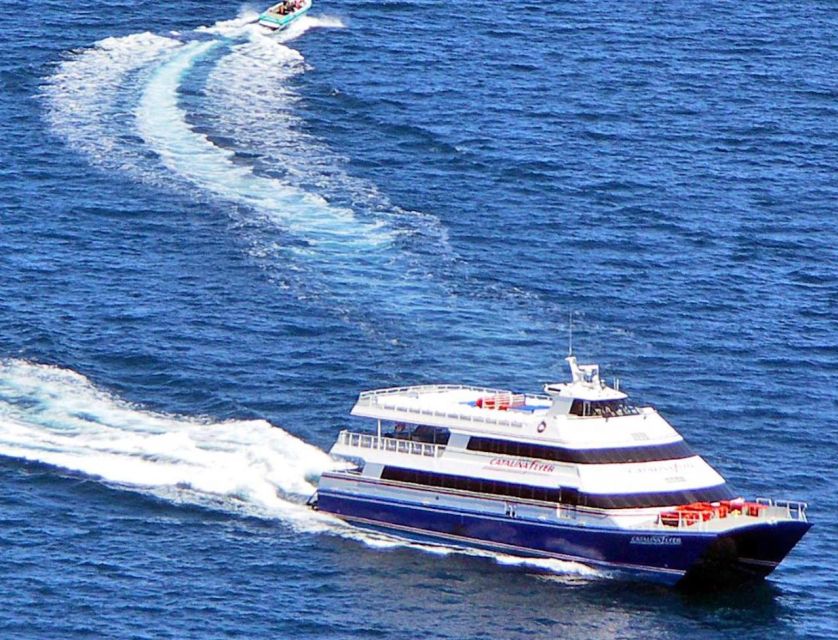 Newport Beach: Ferry Ticket To/From Catalina Island - Luggage and Transportation Guidelines