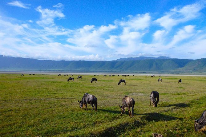 Ngorongoro Crater Day Trip - Cancellation Policy Explained