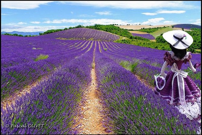 Nice: Gorges of Verdon and Fields of Lavender Tour - Castellane and the Roc Cliff