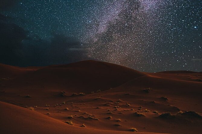 Night Desert Safari, Stargazing, Dune Driving & Inland Sea Visit - Tour Details