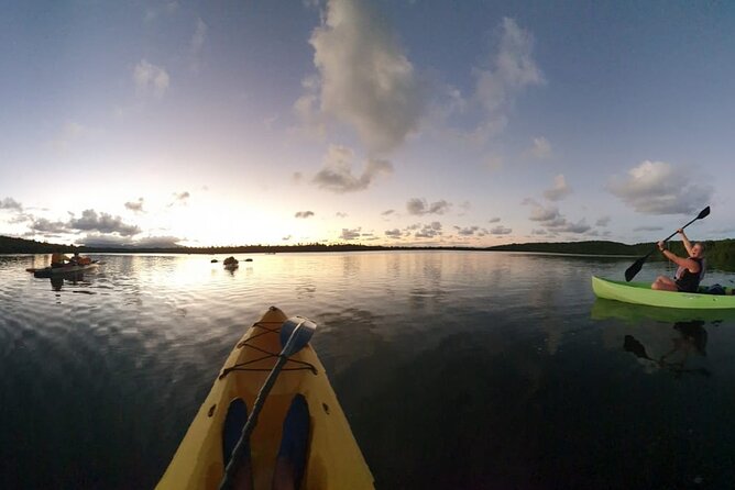 Night Kayaking Experience on Bioluminescent Lagoon in Fajardo - Accessibility for Guests With Disabilities