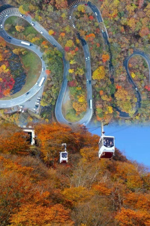 Nikko Toshugo Day Tour Review - Experience and Activities