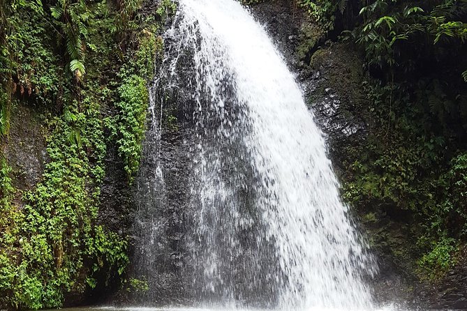 North Tour: Rainforest, Rum Distillery, Black Sand Beach Etc - Local Rum Distillery Experience