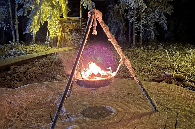 Northern Lights Dinner in a Glass Igloo - Amenities and Transportation Provided