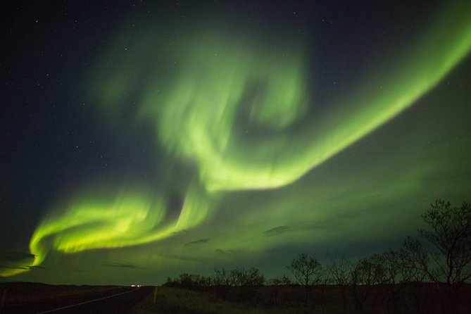 Northern Lights Night Tour From Reykjavik - Pickup and Drop-off Logistics