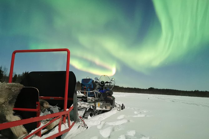 Northern Lights Sledge Ride - What to Expect