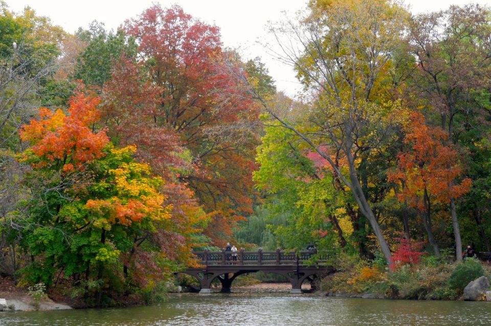 NYC: Central Park Hidden Gems Walking Tour - Highlights of the Tour