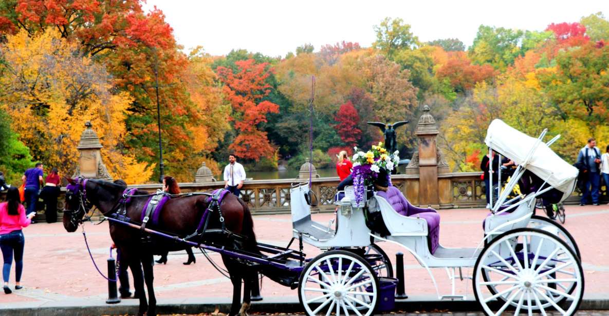 NYC: Central Park Horse-Drawn Carriage Ride (up to 4 Adults) - Group Size Requirements