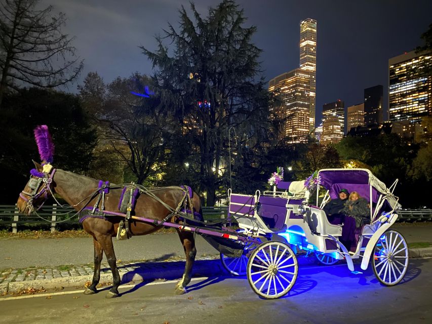 NYC: Guided Central Park Horse Carriage Ride - Included in the Package