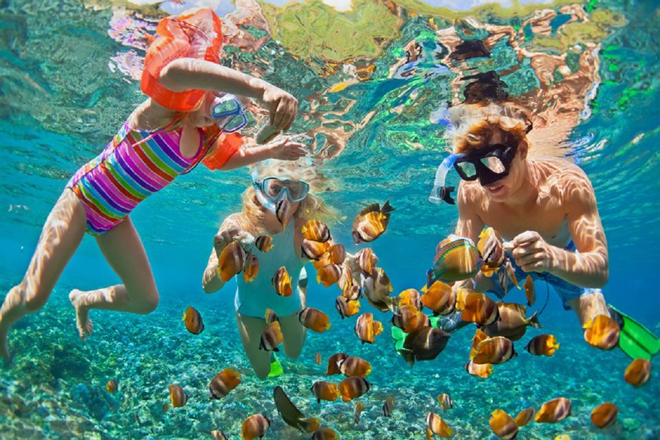 Oahu: 16-Point Guided Circle Tour With Snorkeling and Dole - Inclusions and Amenities