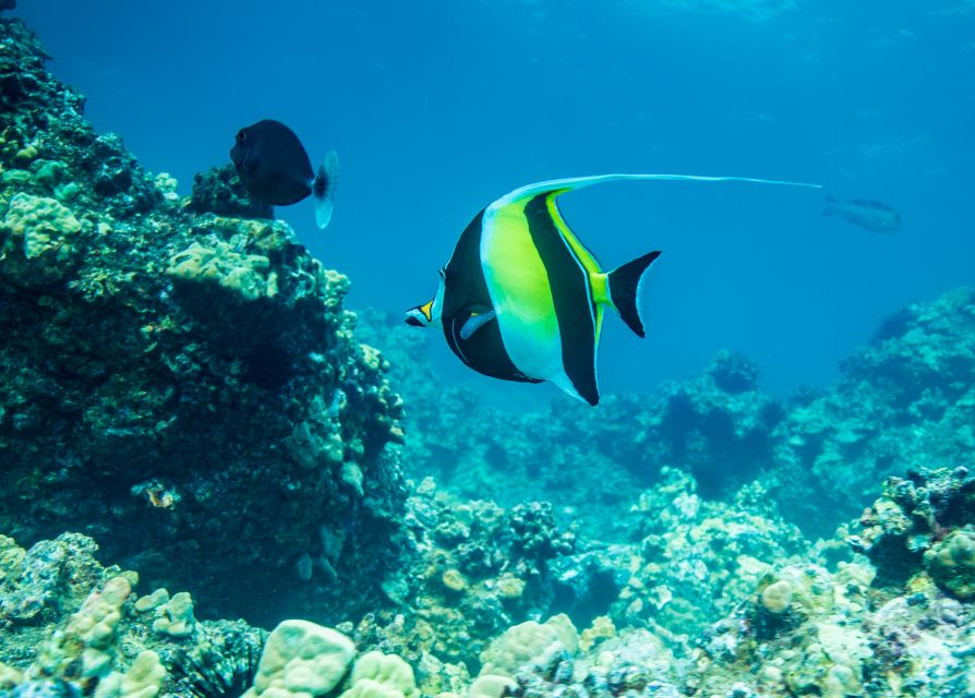 Oahu: Circle Island Snorkeling Tour - Tropical Farms and Samples