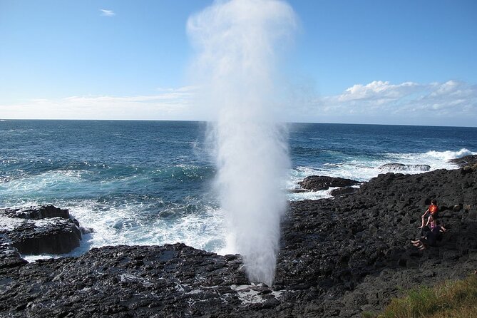 Oahu Circle Island Tours - Customer Reviews Insights