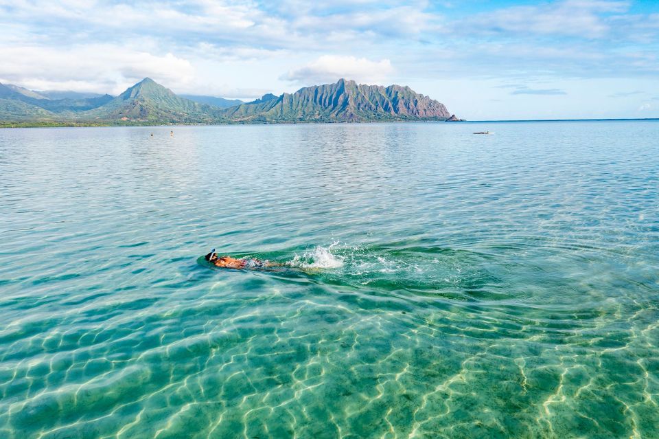 Oahu: Kaneohe Bay Coral Reef Kayaking Rental - Cancellation Policy