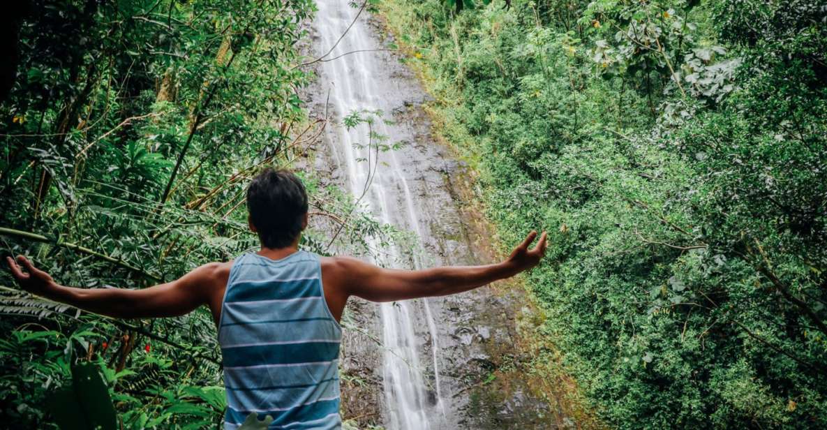 Oahu: Manoa Falls Waterfall Hike With Lunch and Transfers - Hiking Experience