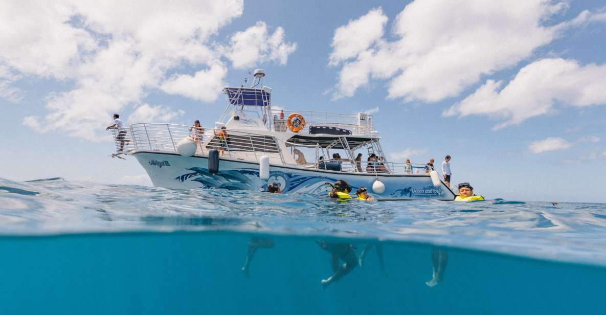 Oahu: Turtle Canyon Snorkeling & Hula Dance - Itinerary Details