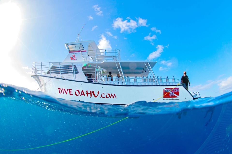 Oahu: Wreck & Reef Scuba Dive for Certified Divers - Sea Tiger Wreck