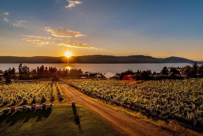 Okanagan Deluxe Wine Toasting Tour - Cancellation Policy