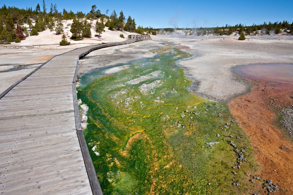 Old Faithful, West Thumb & Grand Prismatic Audio Tours - Geothermal Wonders