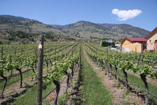 Oliver & Osoyoos Private Wine Tour - Half Day - Pickup and Transportation