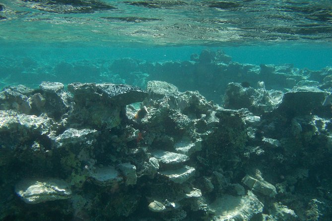 Olous – Guided Snorkelling Excursion to Discover Olous Sunken Ancient City - Tour Presentation and Participant Preparation