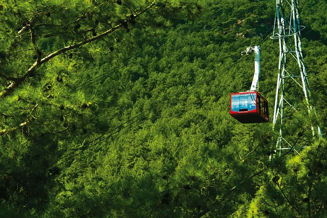 Olympos Teleferik Cable Car Antalya Ticket - Accessibility and Accommodations