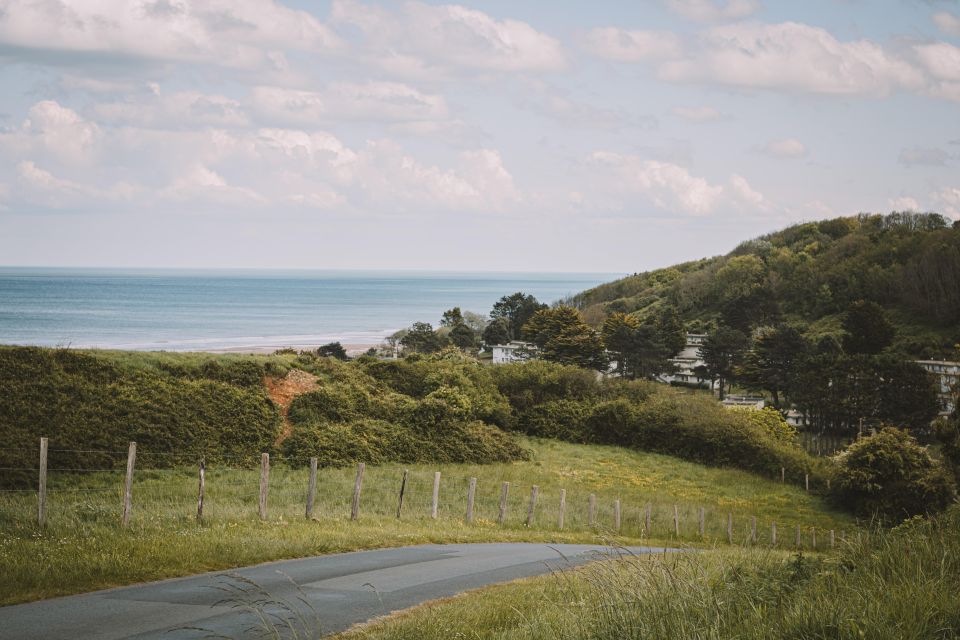 Omaha Beach and Colleville Cemetery Private Walking Tour - Visiting Normandy American Cemetery