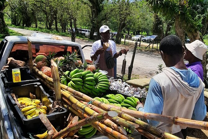 Omars Black River Safari, YS Falls Tour From Montego Bay - Booking Information