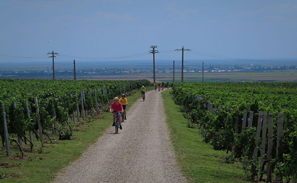 One Day Wine Route by Bike - Customizable Routes