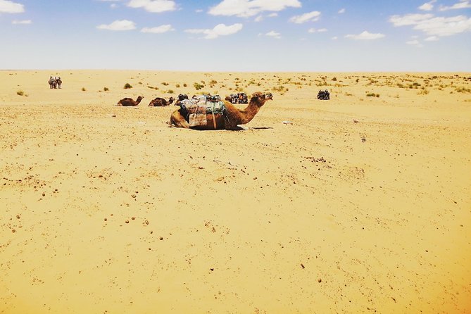 One Night Under the Tent: Tataouine - Chenini - Ksar Ghilane - Matmata - Pick-up and Drop-off