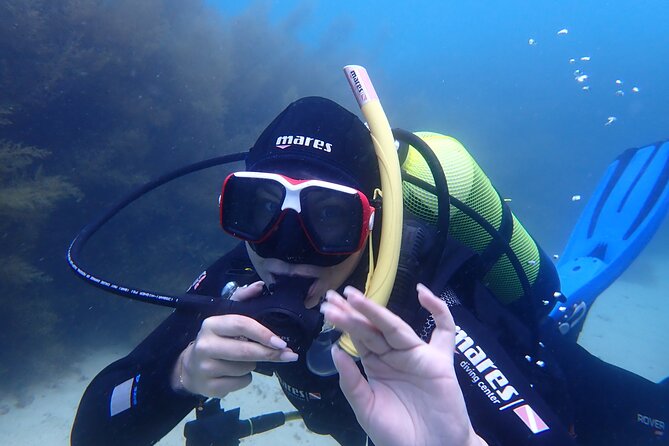 Open Water Diver Course in Arrabida Natural Park (Near Lisbon) - Start Time and Duration