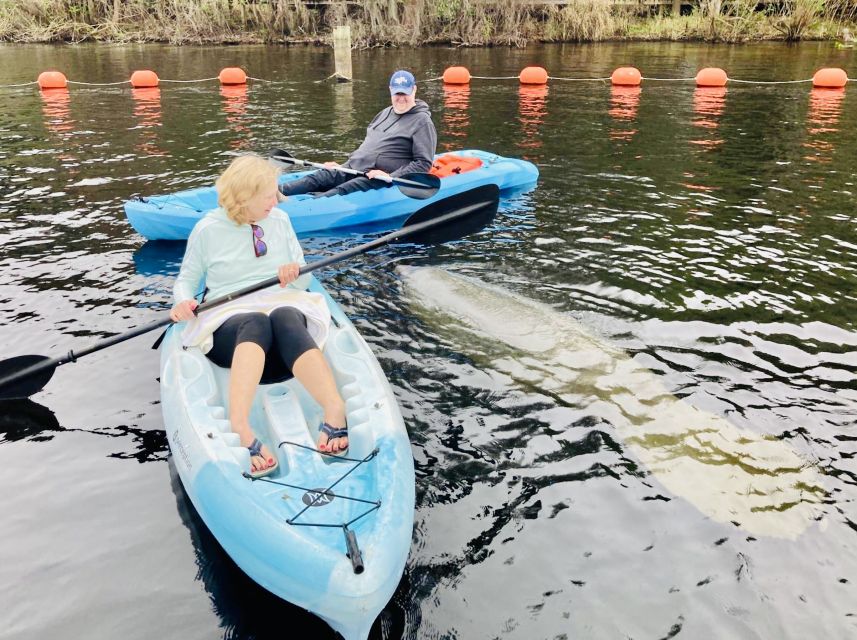 Orange City: Blue Spring State Park SUP & Kayaking Tour - Inclusions