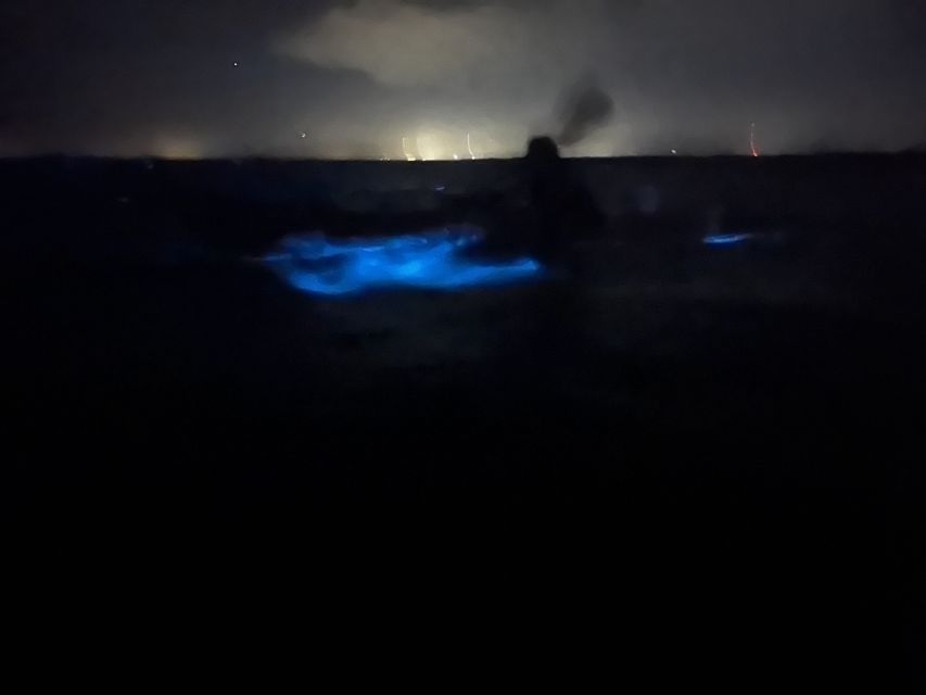 Orlando: Bioluminescence Kayak and Swim Adventure - Highlights and Experiences