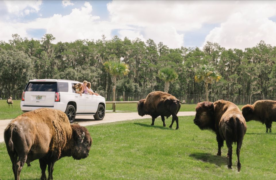 Orlando: Drive-Thru Safari Park at Wild Florida - Included Amenities and Features