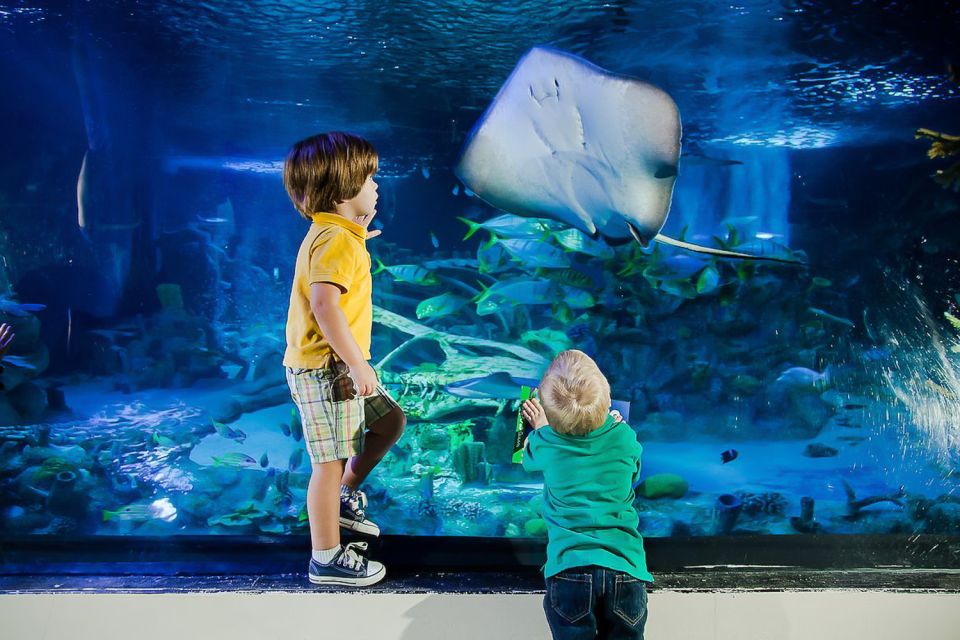 Orlando: Madame Tussauds and SEA LIFE Aquarium Combo Ticket - Interactive Experiences