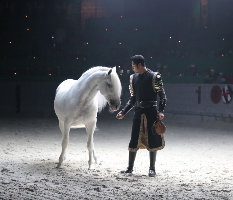 Orlando: Medieval Times Dinner and Show Ticket - Venue and Accessibility