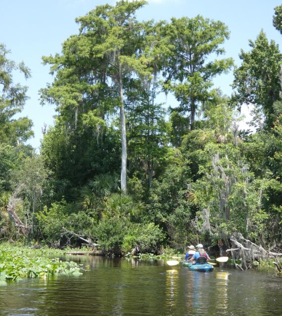 Orlando: Small Group Scenic Wekiva River Kayak Tour - Guided Kayaking Experience