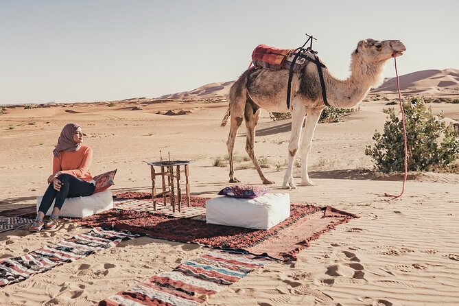 Overnight Camel Trekking in Merzouga - Accessibility and Participation