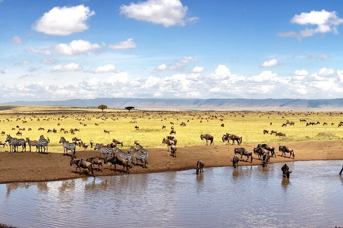 Overnight Safari To Maasai Mara - Accessibility and Requirements