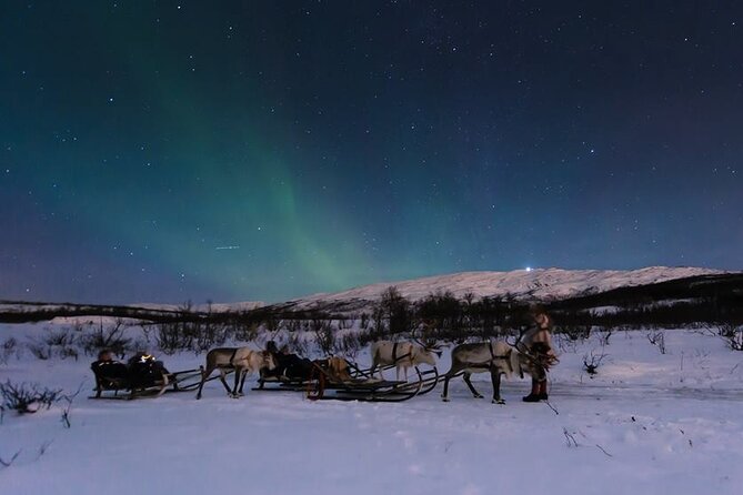 Overnight Stay With Reindeer Sledding & Feeding - Included