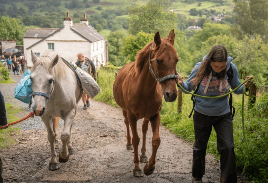 Packhorse Picnic Lake District Full Circle Experiences - Packhorse Trail and Stunning Views