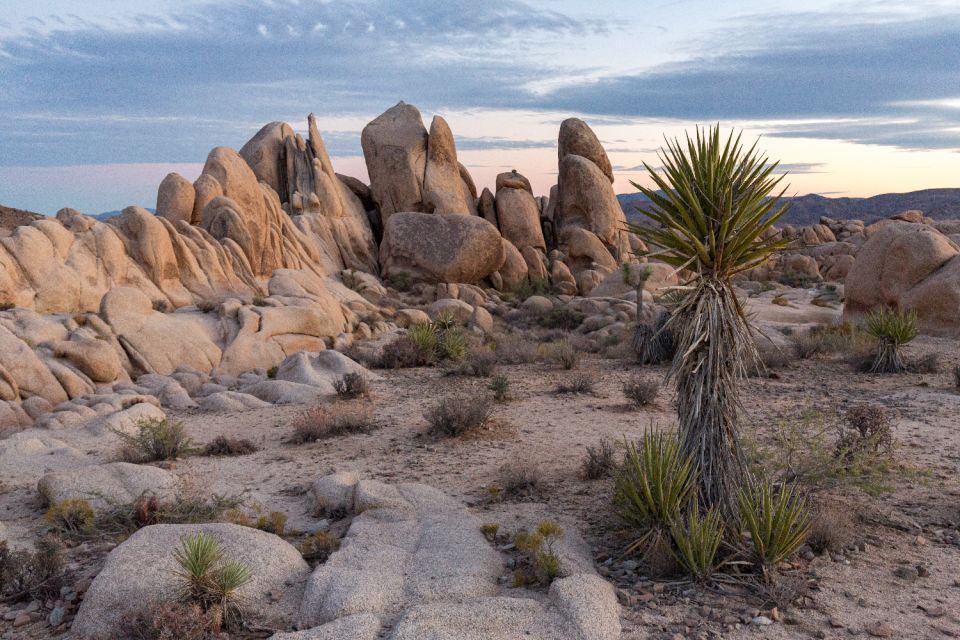 Palm Springs & Joshua Tree: National Park Self-Guided Tours - Itinerary Details